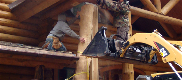 Log Home Log Replacement  Charlottesville City, Virginia