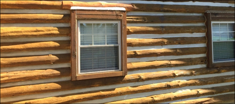 Log Home Whole Log Replacement  Charlottesville City, Virginia